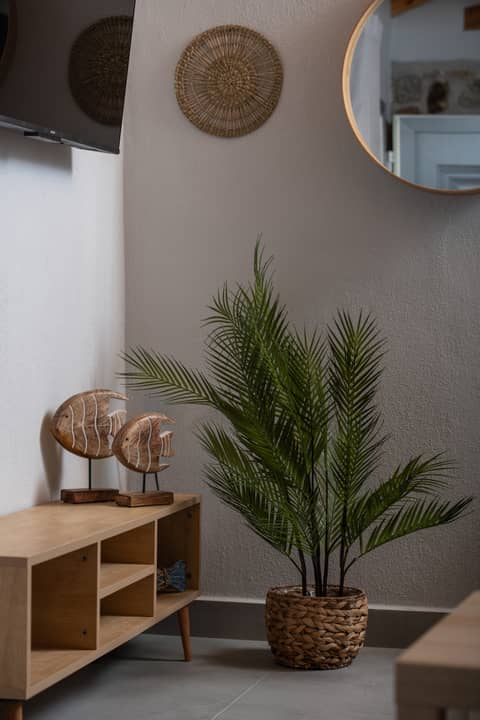 Διακόσμηση Amira House με φοίνικα καθρέφτη και ξύλινο έπιπλο